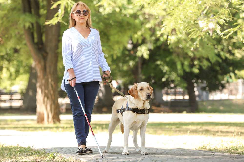 Emotional support animals – Benefits and things to consider