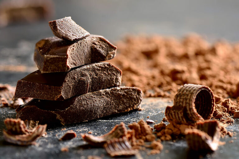 8 human foods that are harmful for dogs